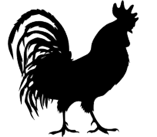 Poultry Processing Solutions